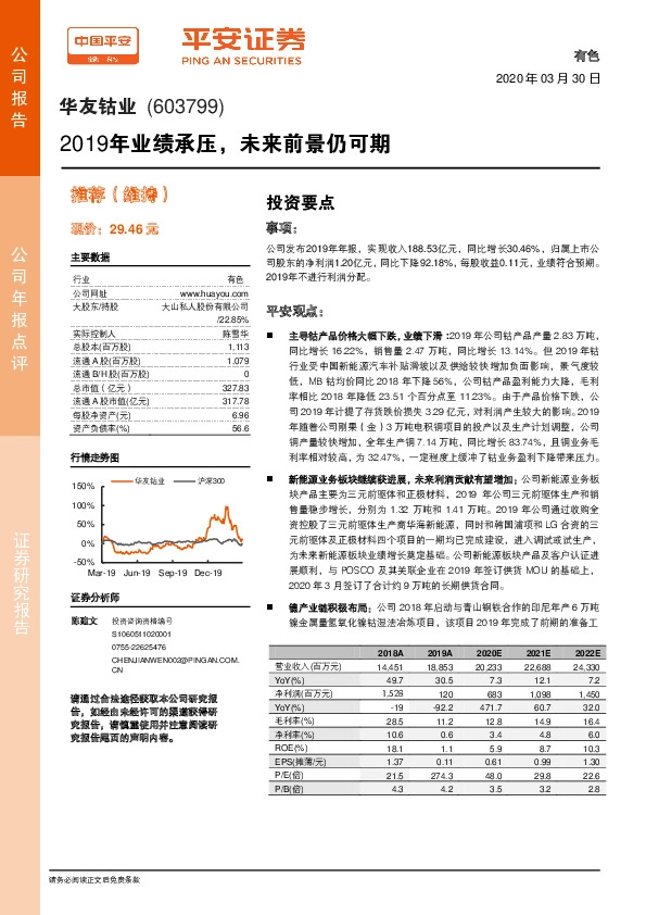 2019年业绩承压，未来前景仍可期