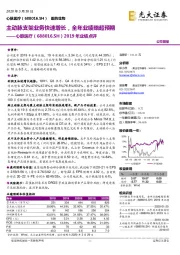 2019年业绩点评:主动脉支架业务快速增长,全年业绩略超预期