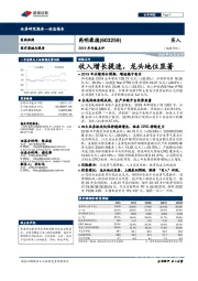 2019年年报点评:收入增长提速,龙头地位显著