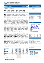 产品结构持续优化,全年利润超预期