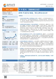 2019年报符合预期，5G先锋状态良好