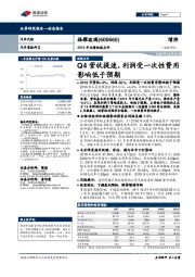 2019年业绩快报点评:Q4营收提速,利润受一次性费用影响低于预期