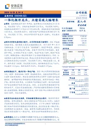一体化组件龙头，业绩实现大幅增长