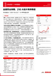 19年年报点评:业绩符合预期,210大硅片有序推进