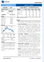 短期业绩承压，但长期投资价值突出