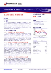 多元化拿地积极、融资优势凸显