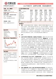 2019年报点评：业绩符合预期，剑指高端新材料