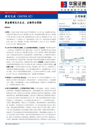 黄金赛道龙头企业,业绩符合预期