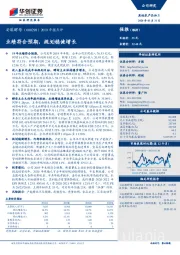 2019年报点评：业绩符合预期，规划稳健增长