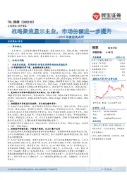 2019年度报告点评：战略聚焦显示主业，市场份额进一步提升