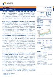 19年收入稳健增长,产业链下游拓展未来发展可期