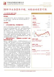2019年业务整体平稳，双轮驱动前景可期