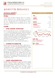盈利提升可期 静待全球发力