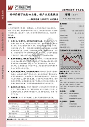 点评报告：铅锌价格下跌影响业绩，锗产业发展提速