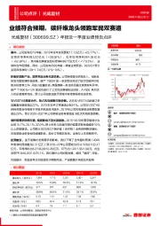 年报及一季度业绩预告点评：业绩符合预期，碳纤维龙头领跑军民双赛道