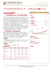 沙坦类原料药量价齐升,战略发展CMO业务
