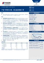 2019年报点评：产量下滑影响业绩，股权激励摊销下滑