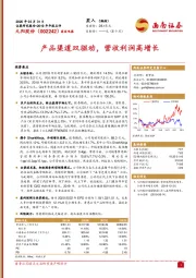 产品渠道双驱动，营收利润高增长