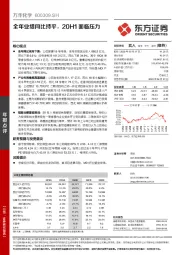 全年业绩同比持平,20H1面临压力