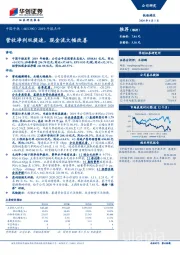 2019年报点评：营收净利双提速，现金流大幅改善
