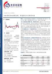 补贴退坡影响短期业绩，新能源龙头优势再加强