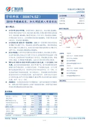 2019年稳健成长，加大研发投入布局长远