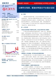 业绩符合预期，配套材料综合平台逐步成型