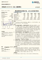 聚氨酯领域持续扩展，石化业务稳步推进