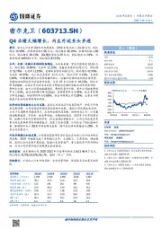 Q4业绩大幅增长，内生外延齐头并进