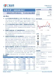 周期逆风无碍长期成长，行业龙头地位稳固