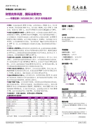 2019年年报点评：财管优势巩固，国际业务发力