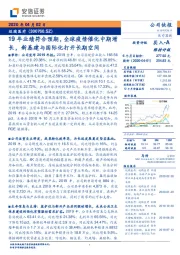 19年业绩符合预期，全球疫情催化中期增长，新基建与国际化打开长期空间