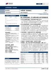 2019年年报点评：线上保持高增长，多品牌和新品迭代持续推进