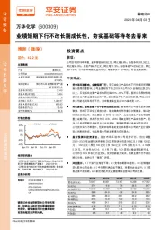 业绩短期下行不改长期成长性，夯实基础等待冬去春来