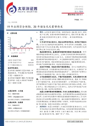 19年业绩符合预期，20年储备充足蓄势待发