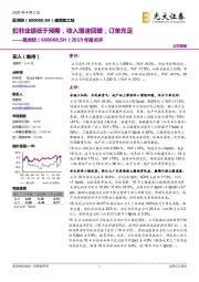 2019年报点评：扣非业绩低于预期，收入增速回暖，订单充足