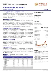 2019年年报点评：政策加码助力薄膜电容龙头腾飞