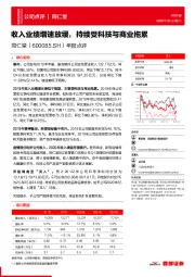 年报点评：收入业绩增速放缓，持续受科技与商业拖累