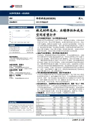 2019年年报点评：珠光材料龙头，业绩弹性和成长空间有望打开