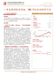 一季度保持较高增速，TWS耳机拉动前景不改