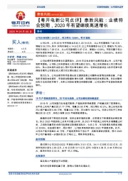 【粤开电新公司点评】泰胜风能:业绩符合预期,2020年有望继续高速增长