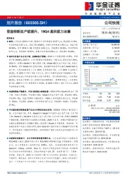 受益特斯拉产能提升，19Q4盈利能力改善