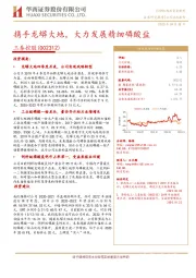 携手龙蟒大地，大力发展精细磷酸盐