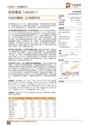 行业龙头赋新能，瓜子坚果两开花