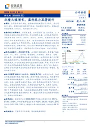 业绩大幅增长，盈利能力显著提升