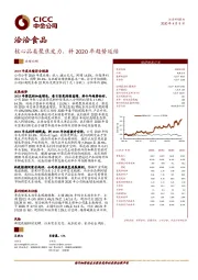 核心品类聚焦发力，料2020年趋势延续