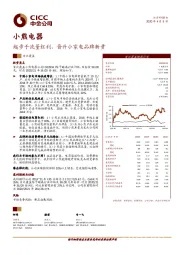 起步于流量红利，晋升小家电品牌新贵