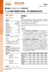 2019年报点评：6-APA价格下降提升毛利率，向下游延伸步伐不停