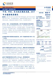 中南、华东、东北地区聚焦发展，2019年业绩持续高增长