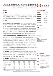 2019年年度报告点评：产业链布局助推成长，子公司业绩贡献加速